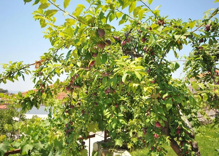 Miranda Appartement Trogir